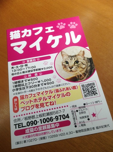 徳島猫カフェマイケル（猫ふれあい館）里親募集中！　ペットホテルマイケル