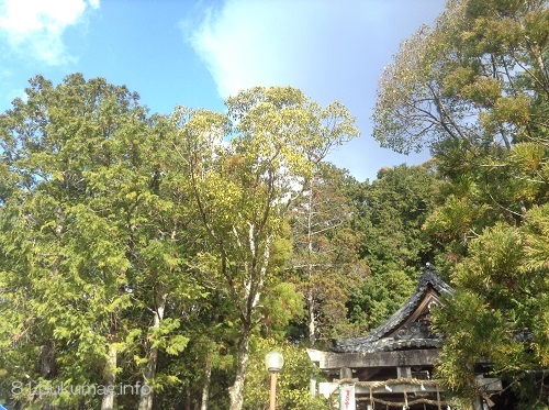 笑いの宮,丹生神社,正月初笑い神事,和歌山県,日高川町,鈴振りさん 