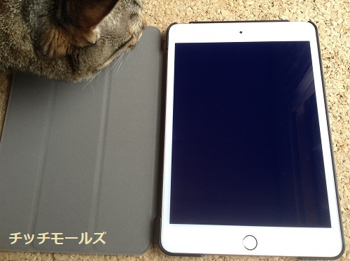 iPad Mini 2019 ケース